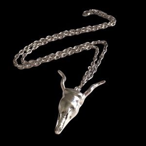 🚨 Grab the Bull by The Horns Necklace Silver Skull